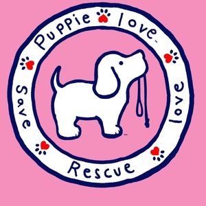 Meet your Posher, Sandy